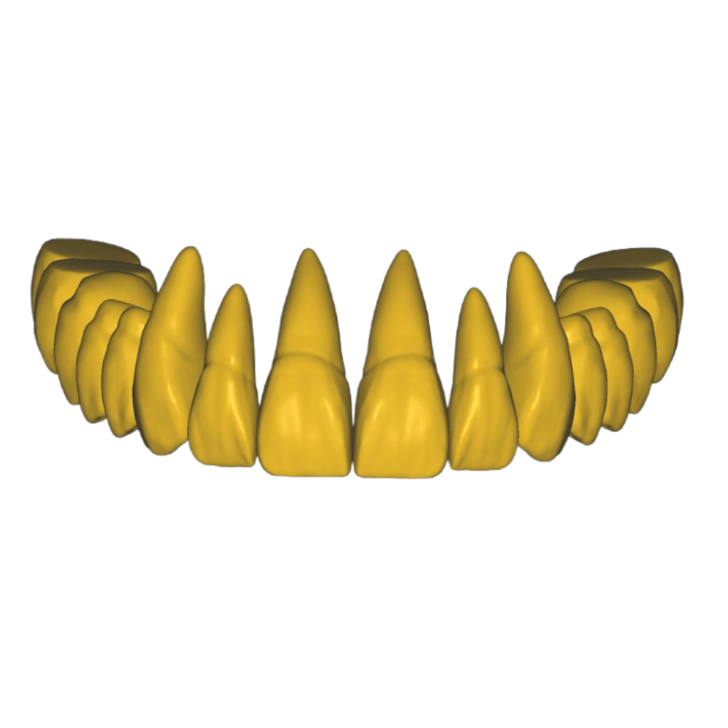 Design sem nome (1)