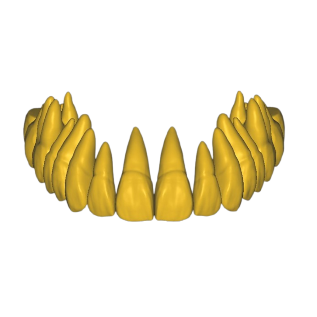 Design sem nome (3)