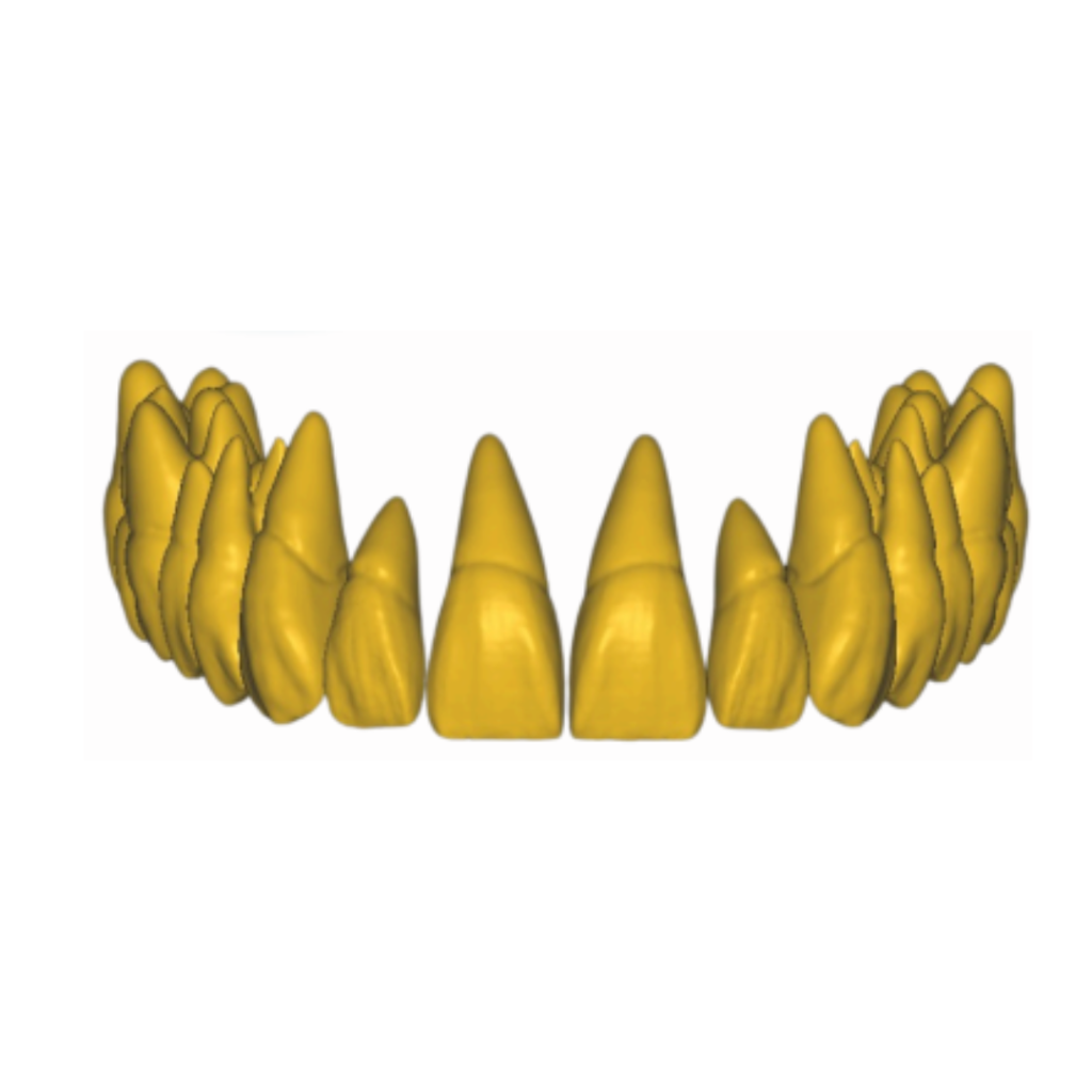 Design sem nome (4)