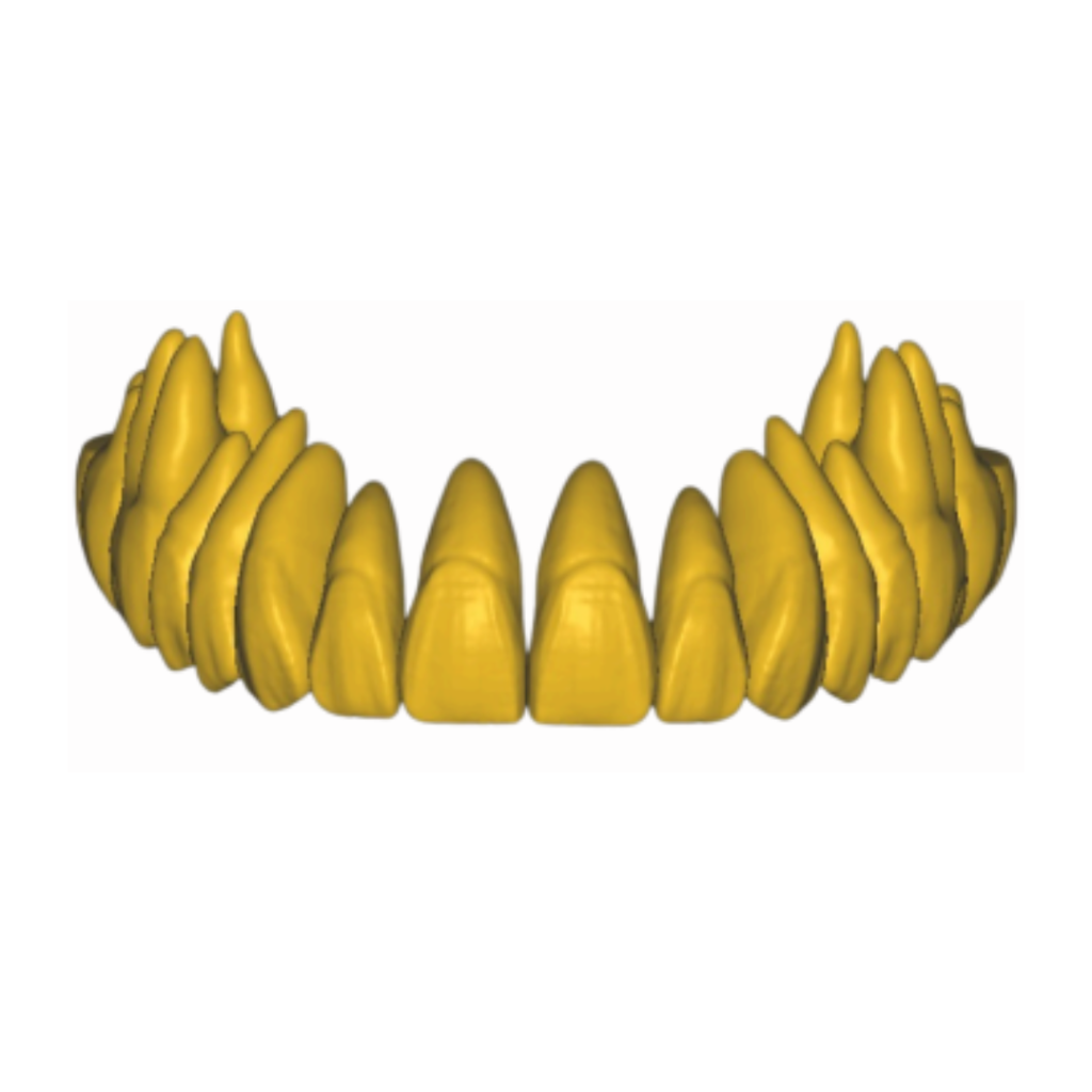 Design sem nome (7)