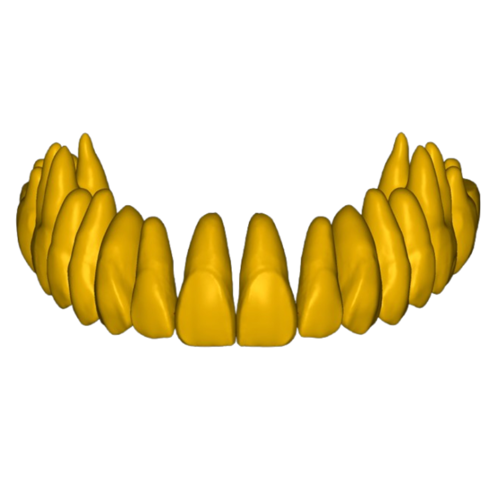Design sem nome (7)